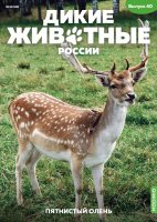 Дикие животные России № 40: Пятнистый олень Дикие животные России