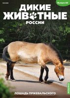 Дикие животные России № 44: Лошадь Пржевальского Дикие животные России
