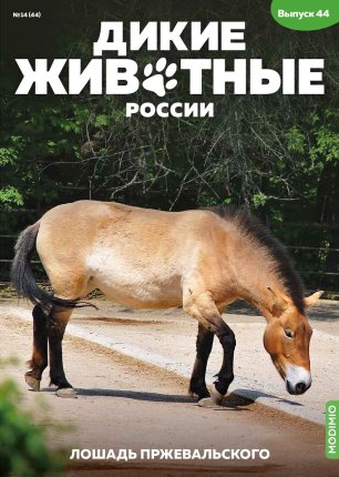 Дикие животные России № 44: Лошадь Пржевальского Дикие животные России