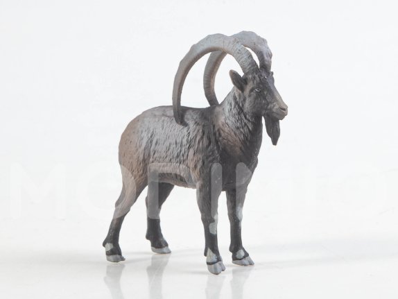 Дикие животные России № 49: Безоаровый козёл Дикие животные России, фото 9